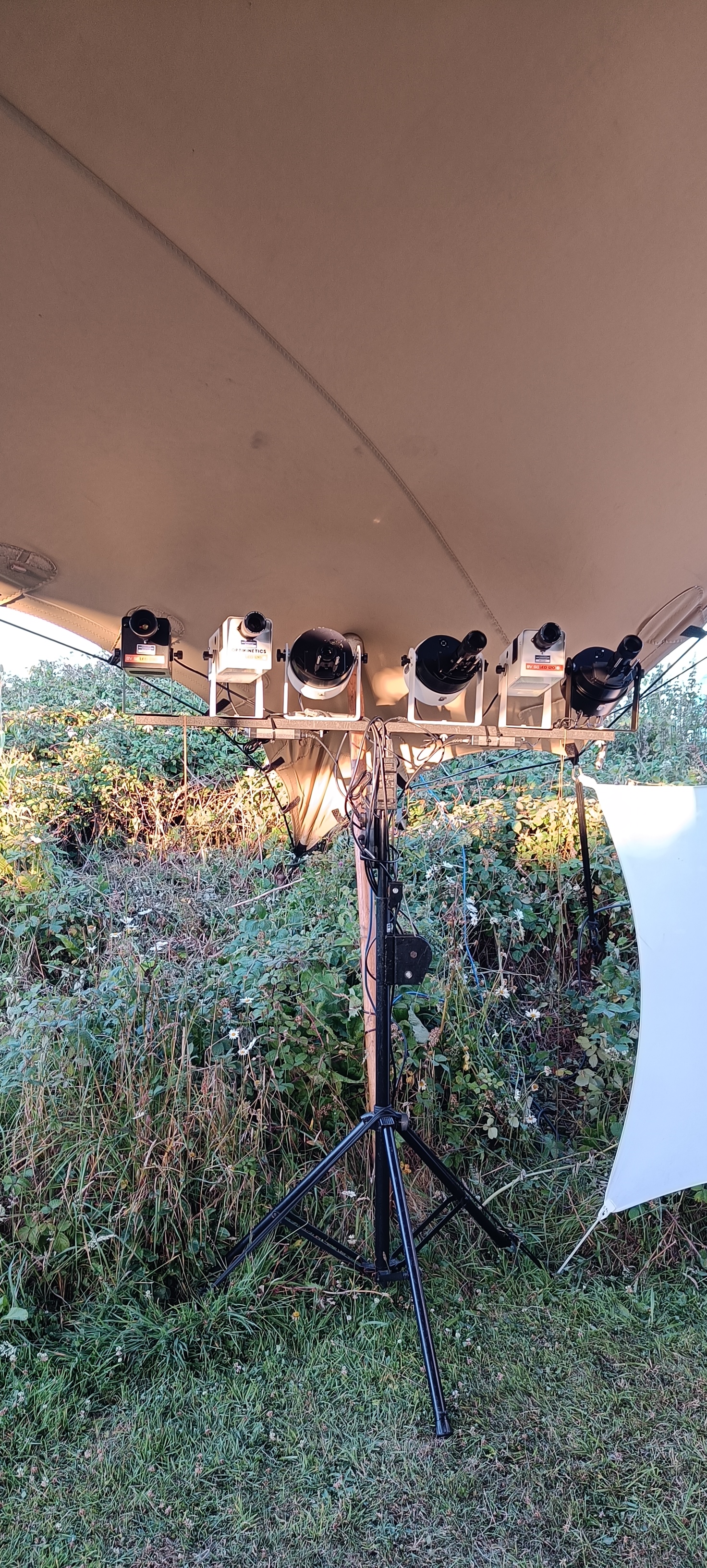 Lucynation at Tropical Pressure Friday 2025