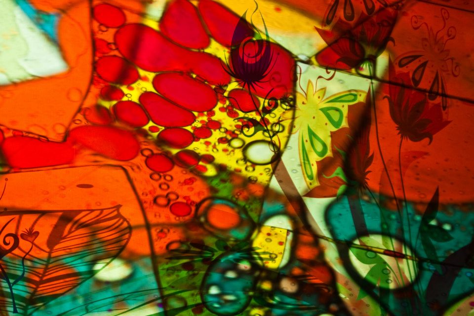 421922 10152593751335693 2067440538 n