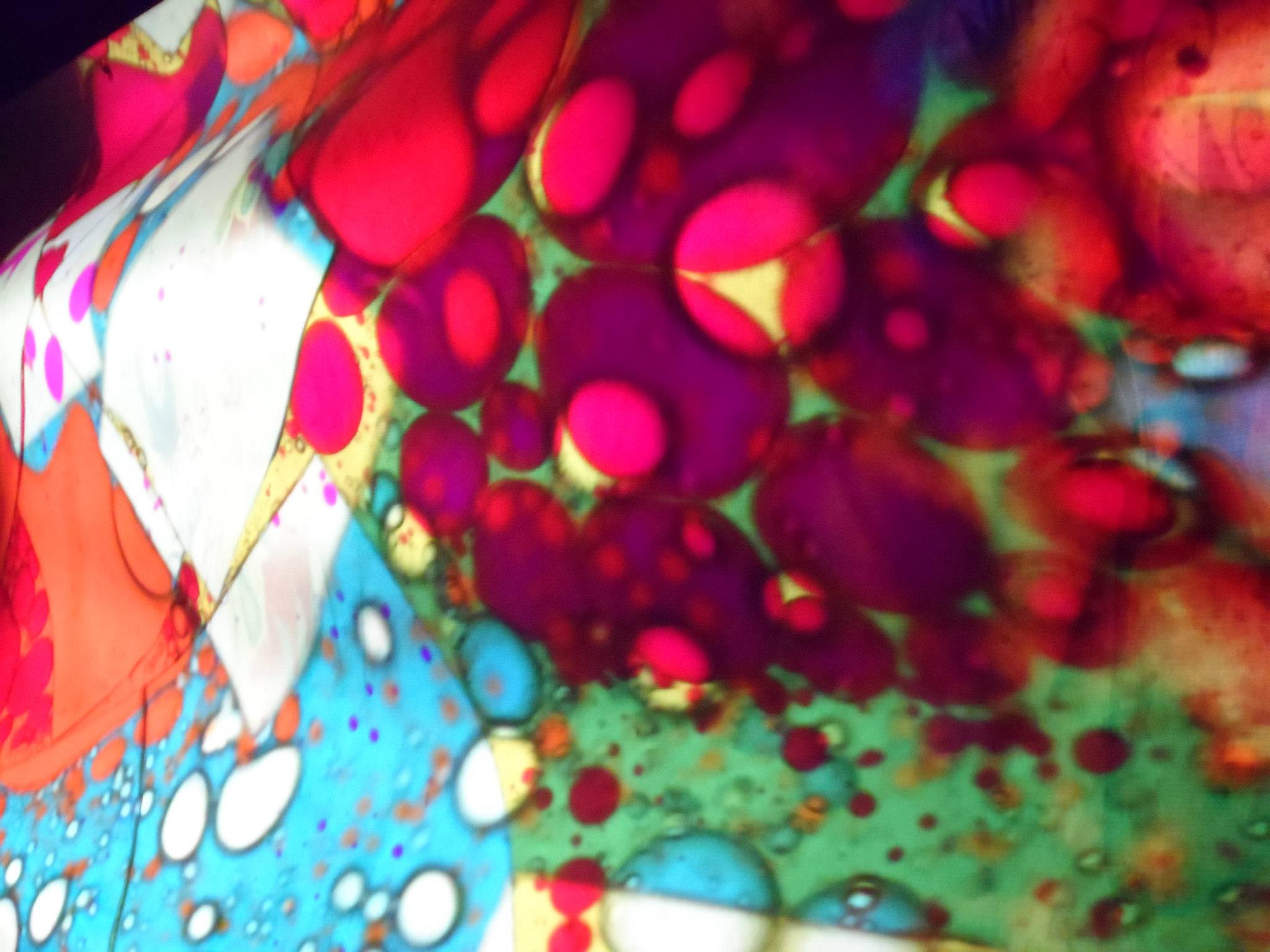 856753 10151743986386521 1330855725 o