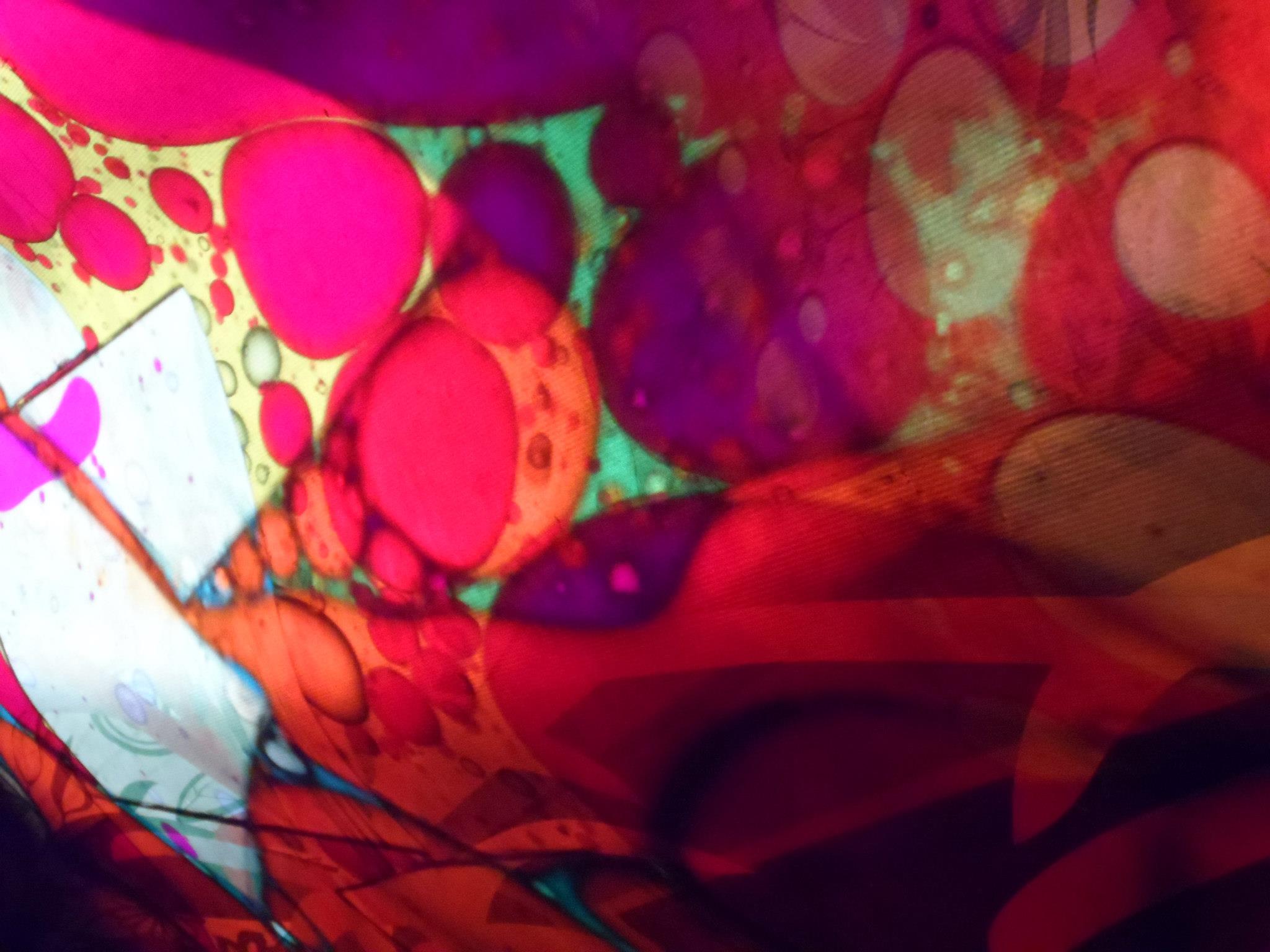 885205 10151743984716521 372351899 o