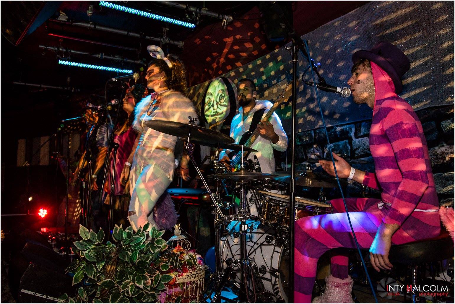 12113360 460881220703869 3901585138326965 o